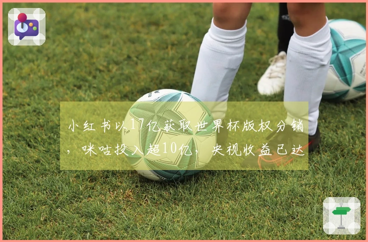 小红书以17亿获取世界杯版权分销，咪咕投入超10亿，央视收益已达30亿